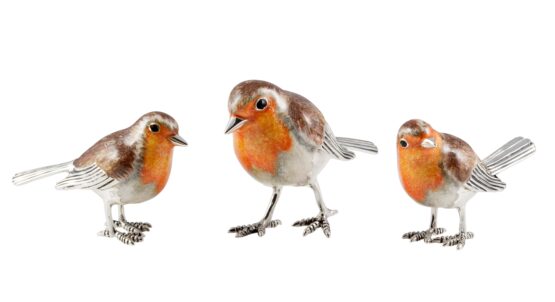 Robin 12921 S50x40 M52x40 L68x48 -min (1)